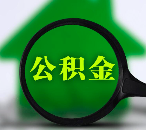 准备好材料后，你可以选择以下几种方式进行公积金的提取